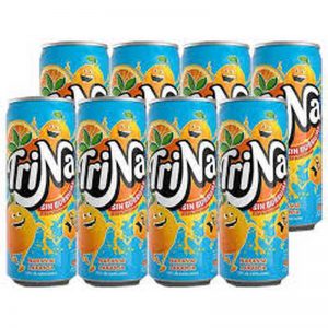 Trina Naranja Lata 33cl Pack 24